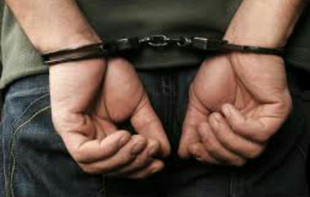 دستگیری سارق سابقه دار در شهرستان دماوند
