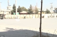 حمله به شبکه شمشاد