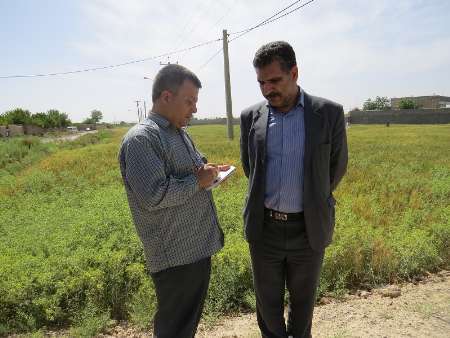 اشتغال 2 هزار و 877 نفر در بخش کشاورزی استان یزد طی سال گذشته