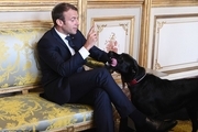 وقتی رئیس جمهور فرانسه در تلویزیون ملی سوژه شد+ تصاویر