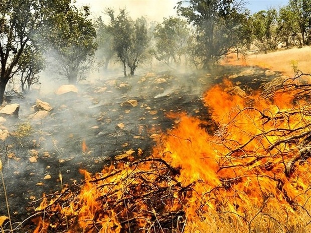 150 نقطه بحرانی حریق در جنگل‌های لرستان شناسایی شد