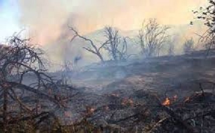 مهار آتش سوزی در باغات شهرستان کیار