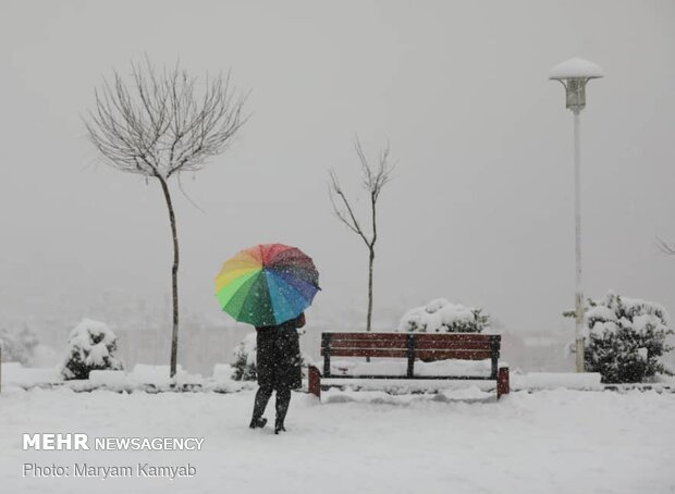 بارش برف و باران در کرمانشاه  هشدار وقوع یخبندان