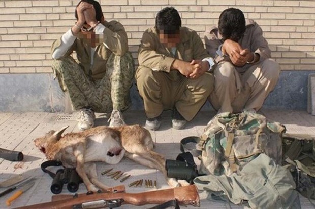 12 شکارچی غیرمجاز در البرز دستگیر شدند