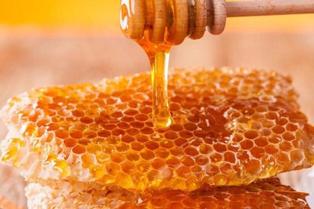 ۵۰ تن عسل در اندیکا تولید شد